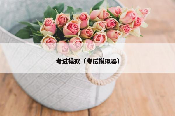 考试模拟（考试模拟器）