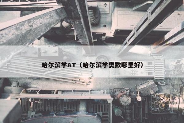 哈尔滨学AT（哈尔滨学奥数哪里好）
