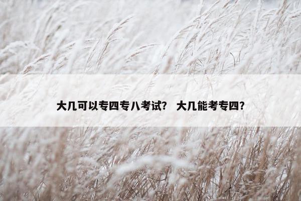 大几可以专四专八考试？ 大几能考专四？