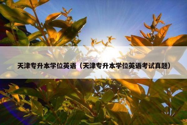 天津专升本学位英语（天津专升本学位英语考试真题）