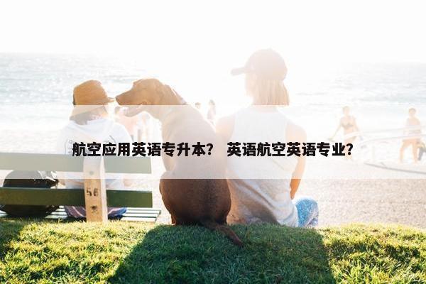 航空应用英语专升本？ 英语航空英语专业？