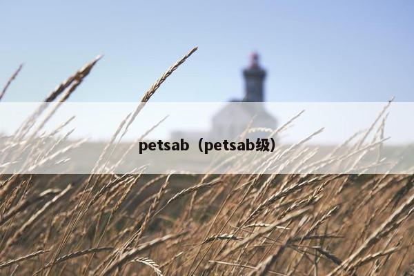 petsab（petsab级）