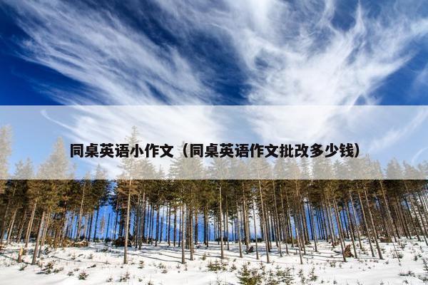 同桌英语小作文（同桌英语作文批改多少钱）