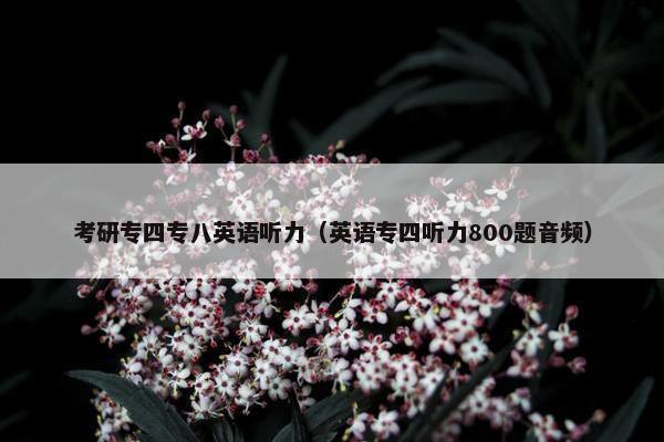 考研专四专八英语听力（英语专四听力800题音频）