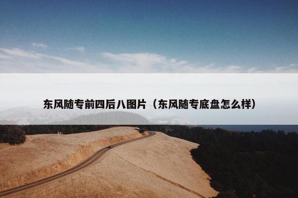 东风随专前四后八图片（东风随专底盘怎么样）