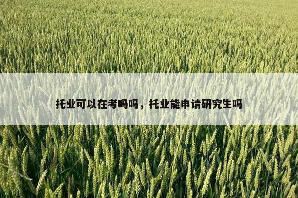 托业可以在考吗吗，托业能申请研究生吗