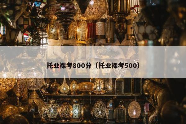托业裸考800分（托业裸考500）