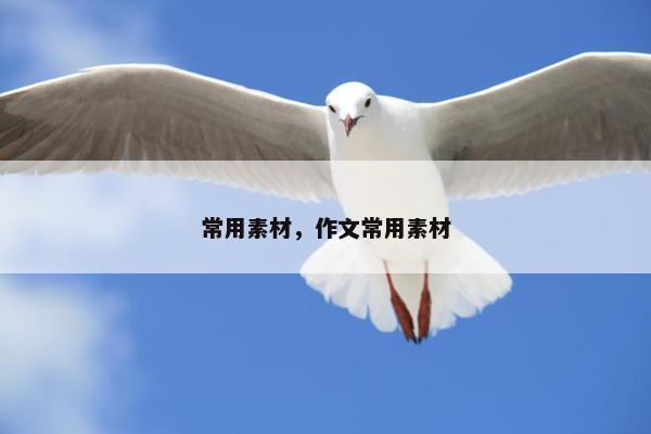 常用素材，作文常用素材