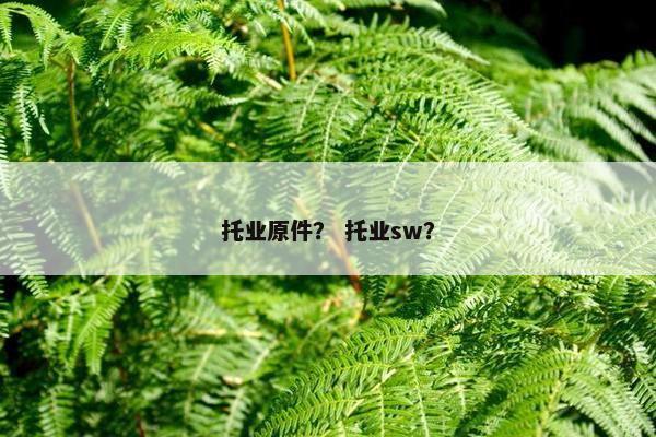 托业原件？ 托业sw？