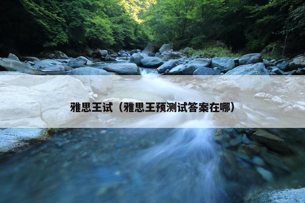 雅思王试（雅思王预测试答案在哪）