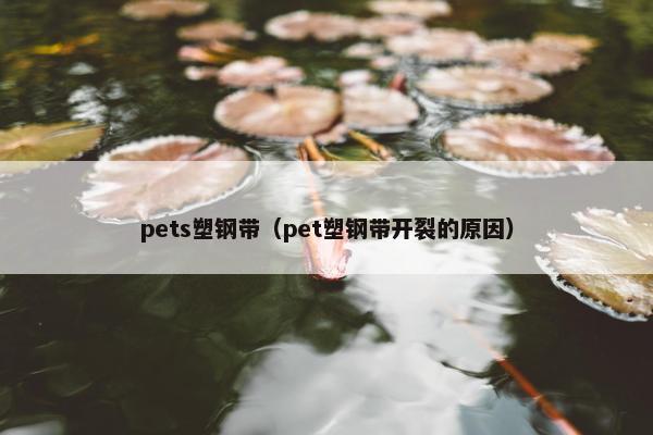 pets塑钢带（pet塑钢带开裂的原因）
