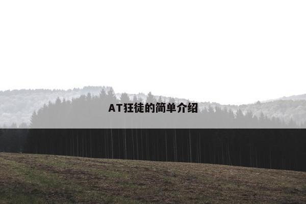 AT狂徒的简单介绍