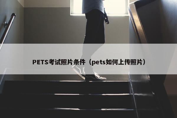 PETS考试照片条件（pets如何上传照片）