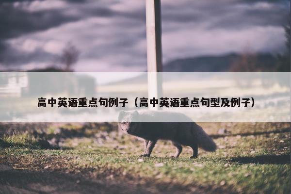高中英语重点句例子（高中英语重点句型及例子）