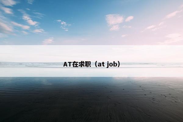 AT在求职（at job）