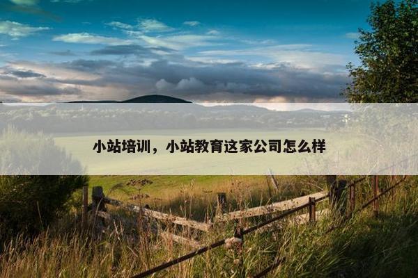 小站培训，小站教育这家公司怎么样