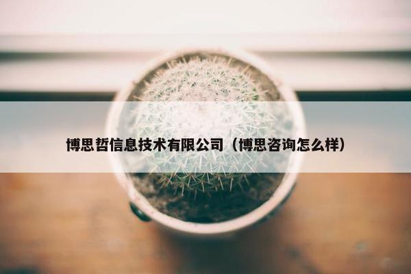 博思哲信息技术有限公司（博思咨询怎么样）
