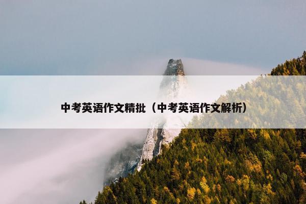 中考英语作文精批（中考英语作文解析）