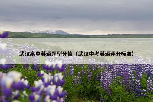 武汉高中英语题型分值（武汉中考英语评分标准）