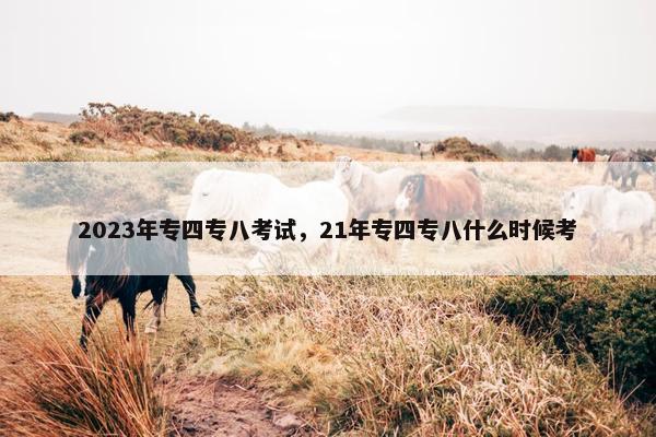 2023年专四专八考试，21年专四专八什么时候考