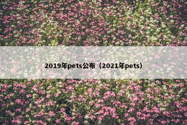 2019年pets公布（2021年pets）