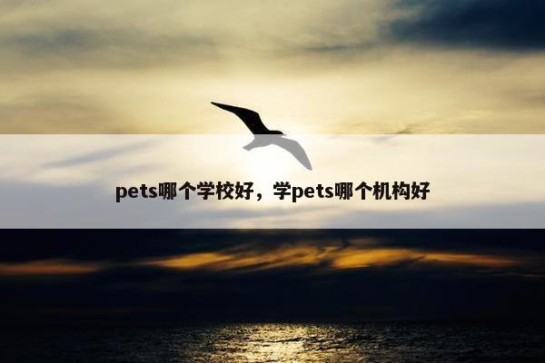 pets哪个学校好，学pets哪个机构好