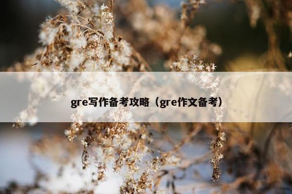 gre写作备考攻略（gre作文备考）