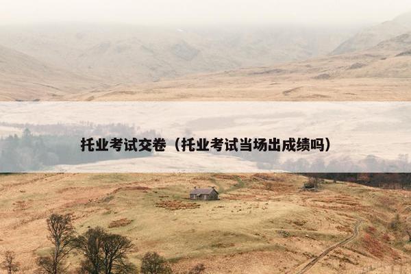 托业考试交卷（托业考试当场出成绩吗）