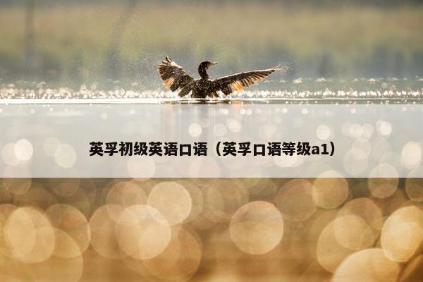 英孚初级英语口语（英孚口语等级a1）