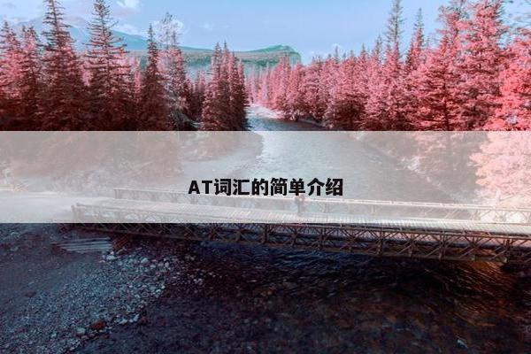 AT词汇的简单介绍
