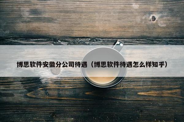 博思软件安徽分公司待遇（博思软件待遇怎么样知乎）