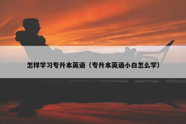 怎样学习专升本英语（专升本英语小白怎么学）