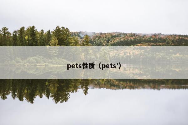 pets性质（pets'）