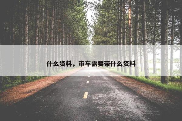 什么资料，审车需要带什么资料