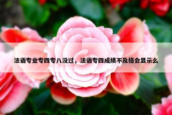法语专业专四专八没过，法语专四成绩不及格会显示么