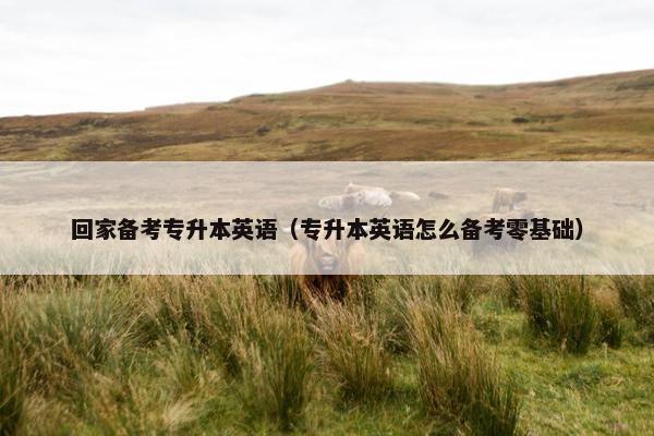 回家备考专升本英语（专升本英语怎么备考零基础）