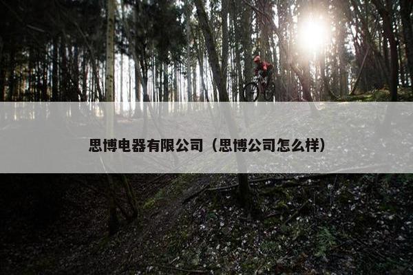 思博电器有限公司（思博公司怎么样）