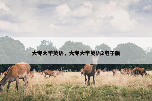 大专大学英语，大专大学英语2电子版