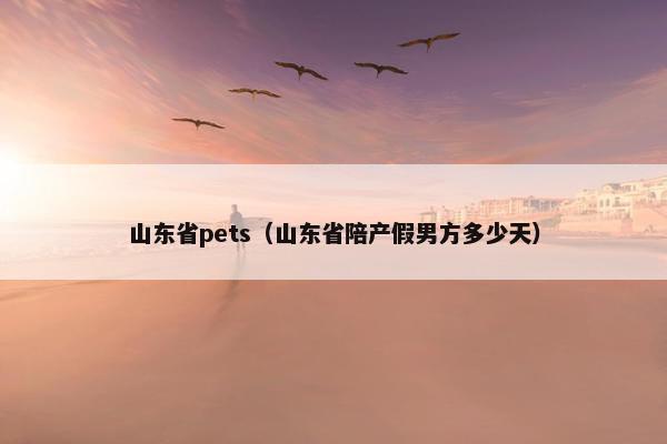 山东省pets（山东省陪产假男方多少天）