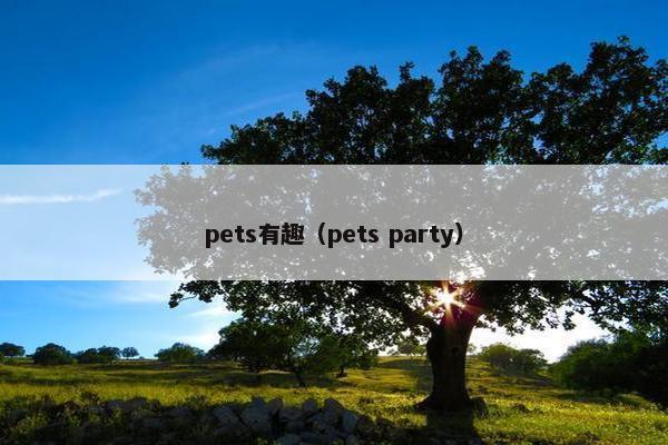 pets有趣（pets party）