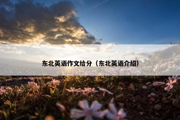 东北英语作文给分（东北英语介绍）