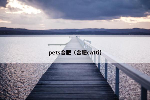 pets合肥（合肥catti）