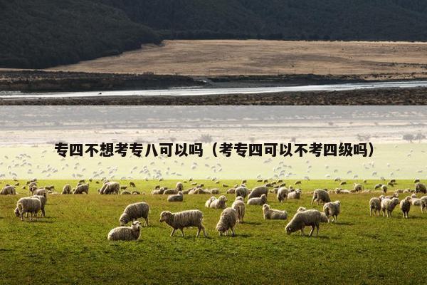 专四不想考专八可以吗（考专四可以不考四级吗）