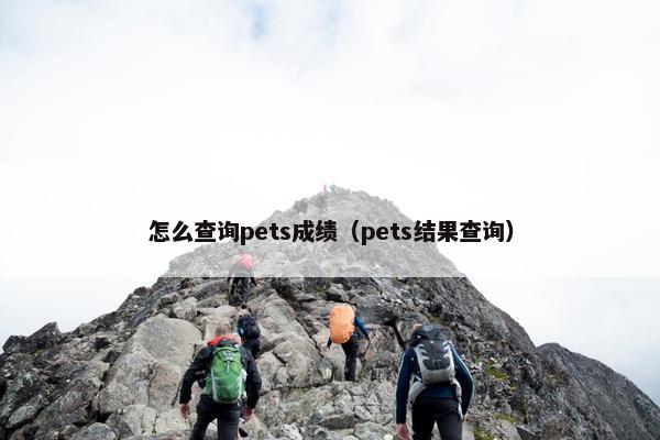 怎么查询pets成绩（pets结果查询）