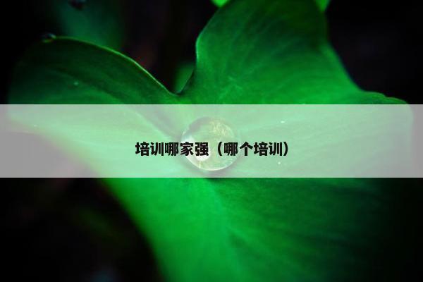 培训哪家强（哪个培训）