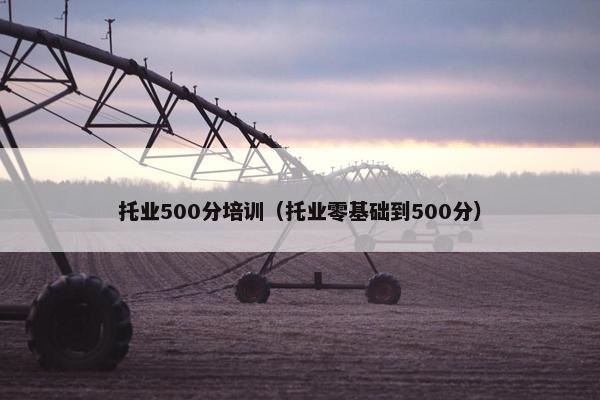托业500分培训（托业零基础到500分）