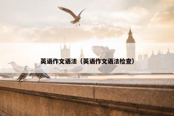 英语作文语法（英语作文语法检查）