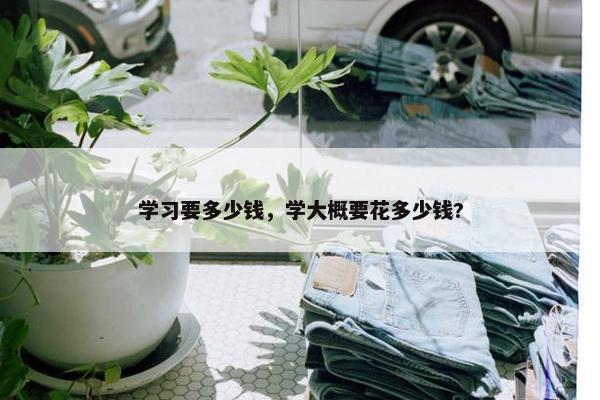 学习要多少钱，学大概要花多少钱?
