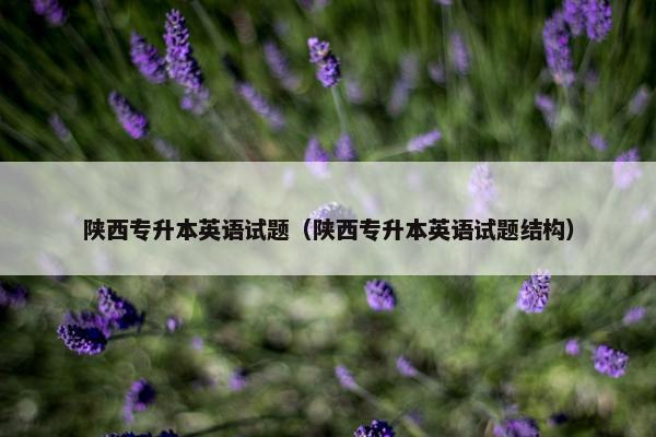 陕西专升本英语试题（陕西专升本英语试题结构）