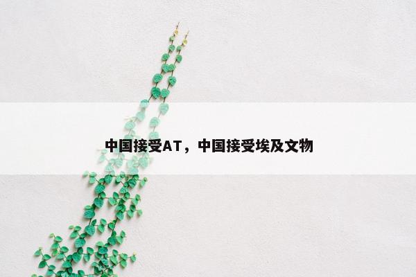中国接受AT，中国接受埃及文物